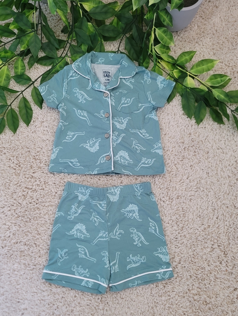 Baby Boy Dinosaur Pajamas (9-12 Months)